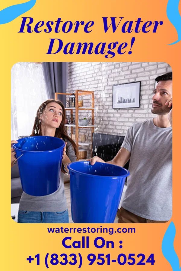water restoration Empire Flood Damage Specialists Holcomb