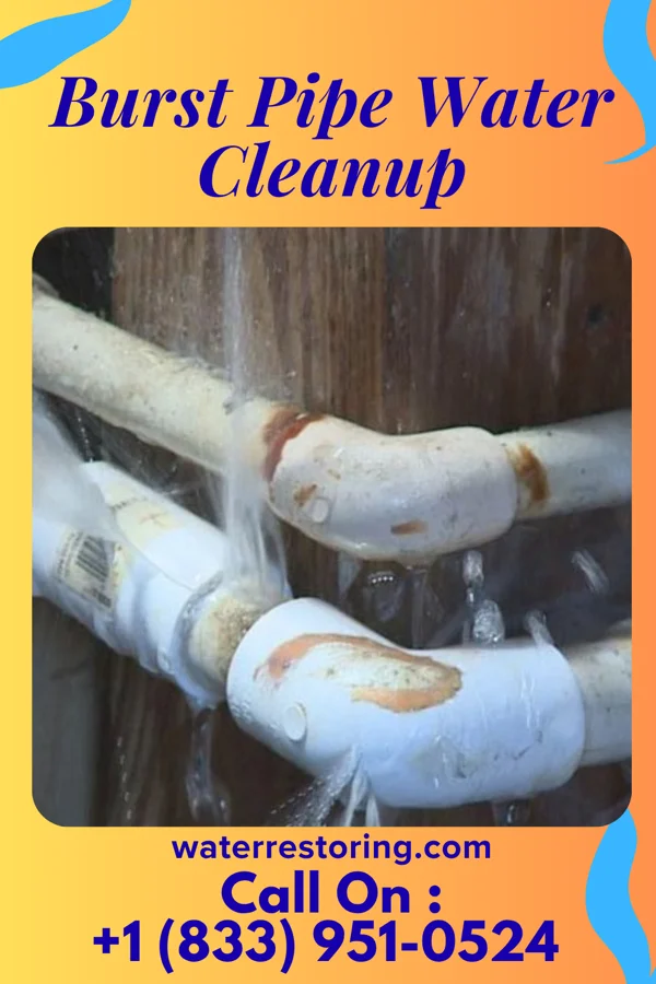 Burst Pipe Water Cleanup in Holcomb, KS