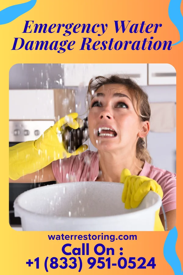 Emergency Water Damage Restoration in Holcomb, KS