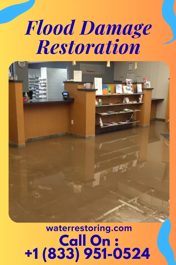 Flood Damage Restoration in Holcomb, KS